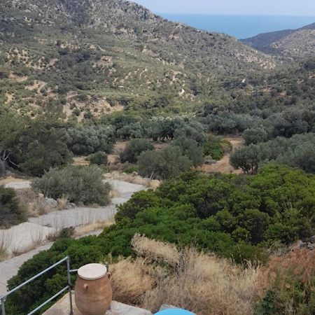 فيلا Casablu Stavrokhorion المظهر الخارجي الصورة