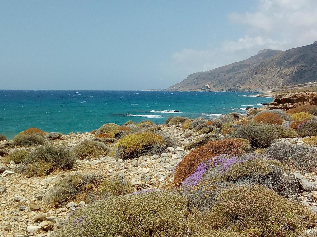 فيلا Casablu Stavrokhorion المظهر الخارجي الصورة
